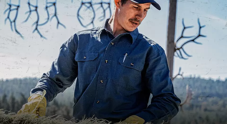 work-shirts-984165-1737631353